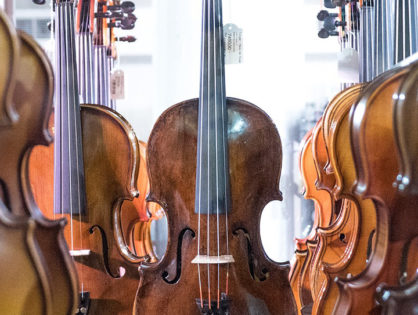 Spécialiste en violon violoncelle