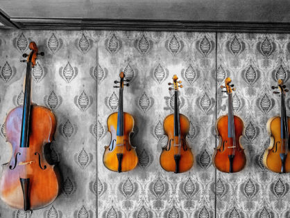 Rachat Violon Versailles